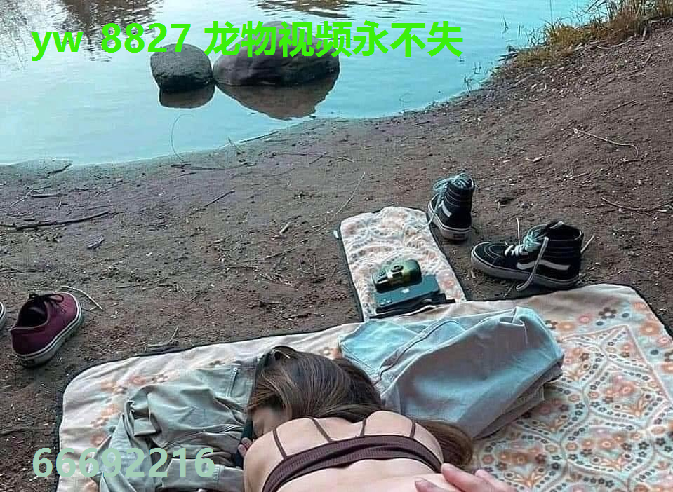 yw 8827 龙物视频永不失